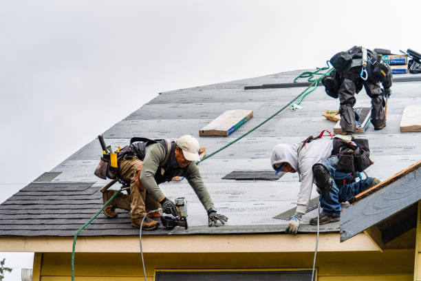 Professional Flat Roof Repair technician working in Peoria, IL
